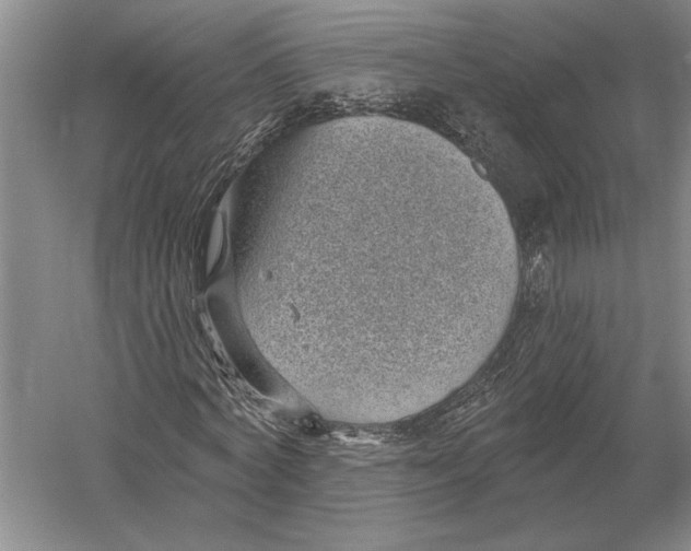 X0000052980772200508051040