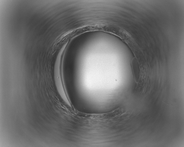 X0000052980773200508051040