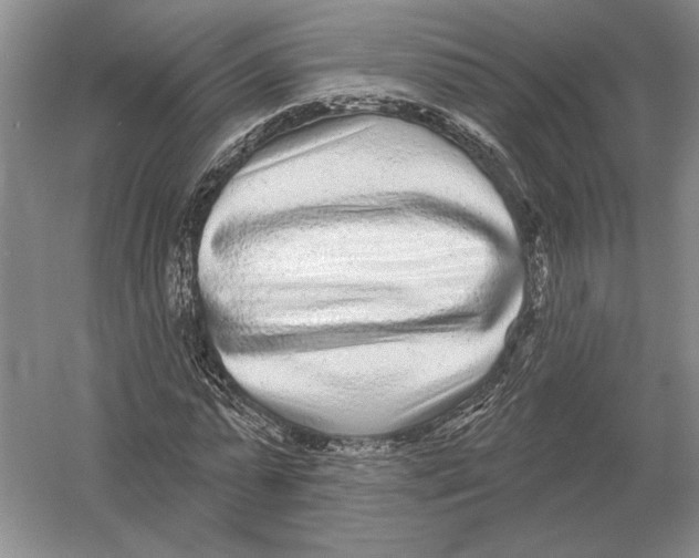 X0000052980775200508051040