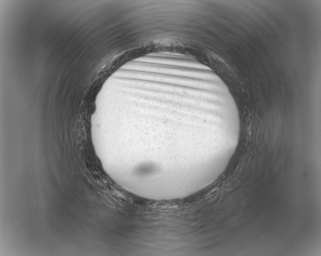 X0000052980776200508051040