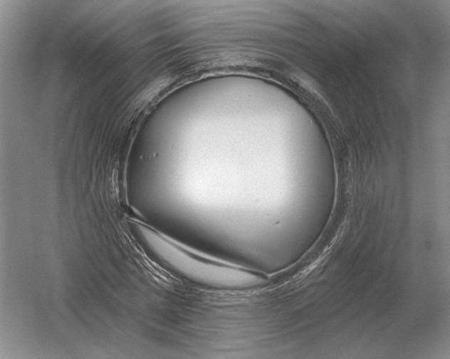 X0000052980777200508051040