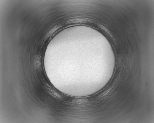 X0000052980778200508051040