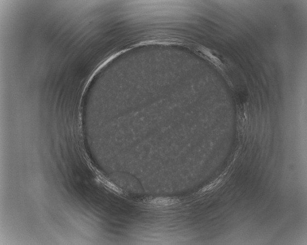 X0000052980779200508051040