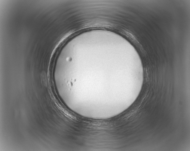 X0000052980780200508051040