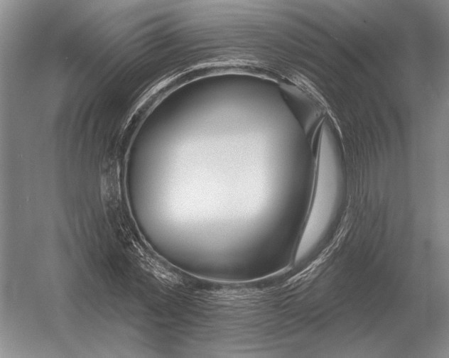 X0000052980781200508051040