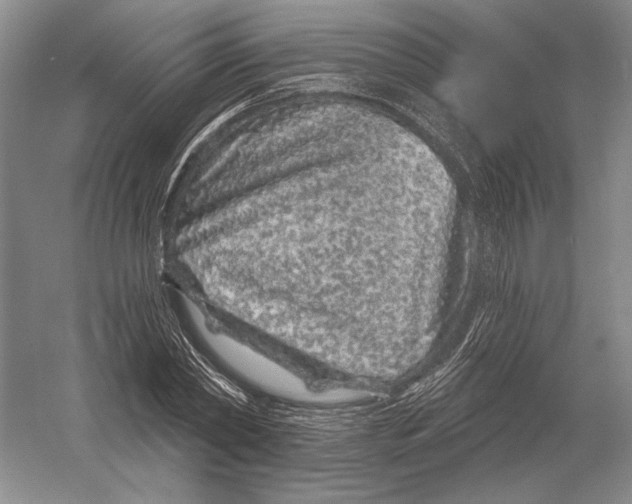 X0000052980782200508051040