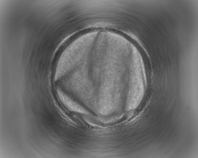 X0000052980783200508051040