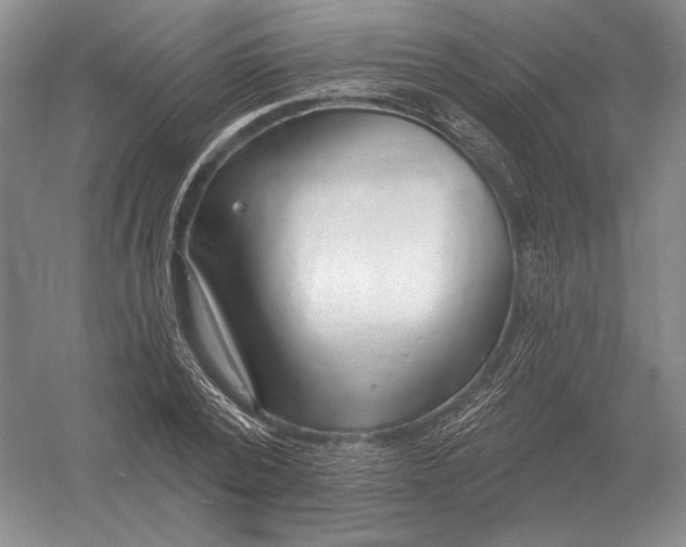 X0000052980784200508051040