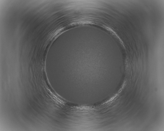 X0000052980785200508051040