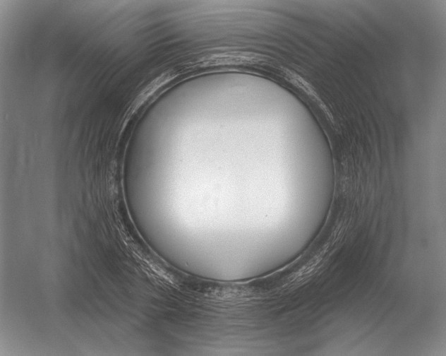 X0000052980786200508051040