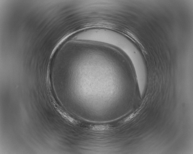 X0000052980788200508051040