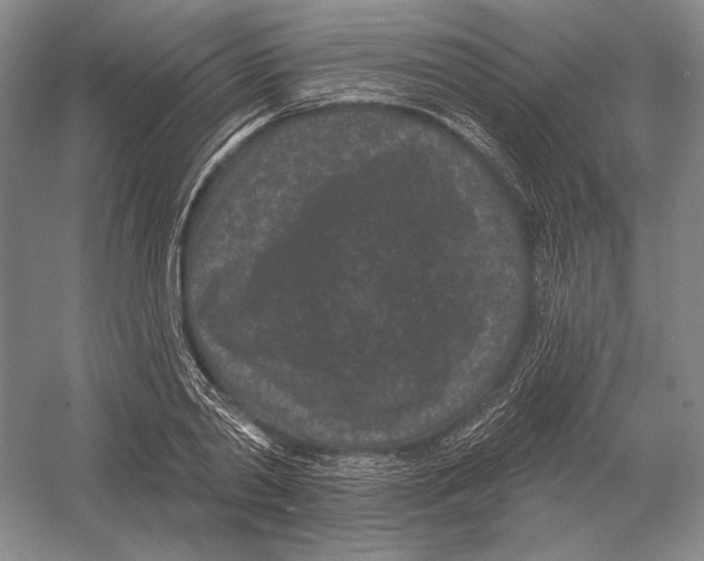 X0000052980790200508051040