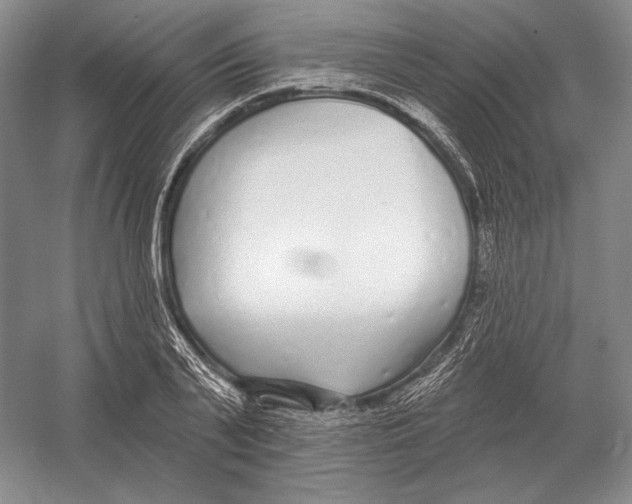 X0000052980791200508051039