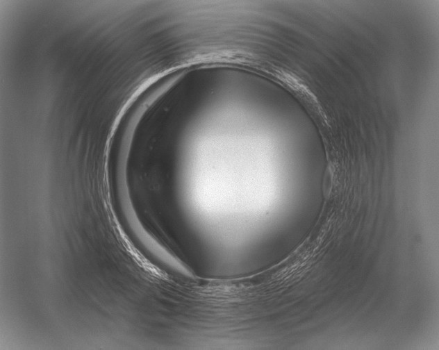 X0000052980792200508051039