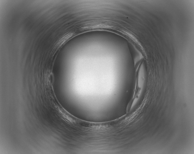 X0000052980793200508051039