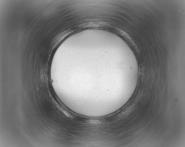 X0000052980794200508051039