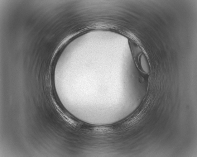 X0000052980795200508051039