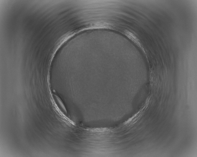 X0000052980797200508051039