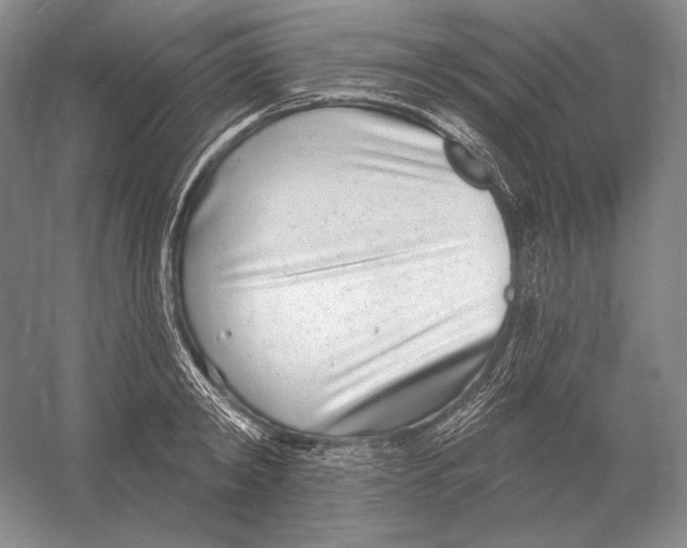 X0000052980798200508051039