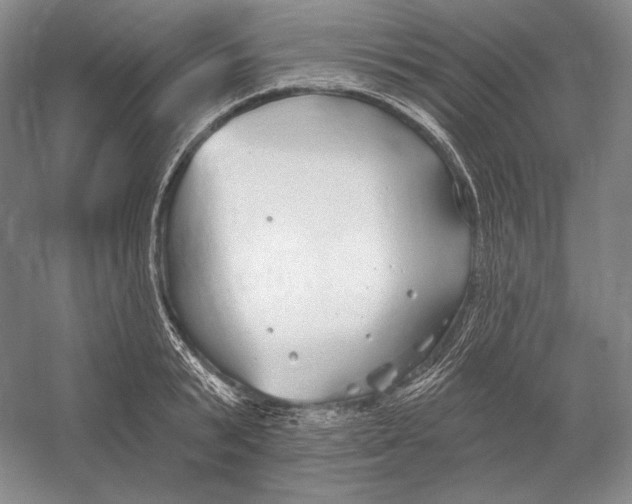 X0000052980799200508051039