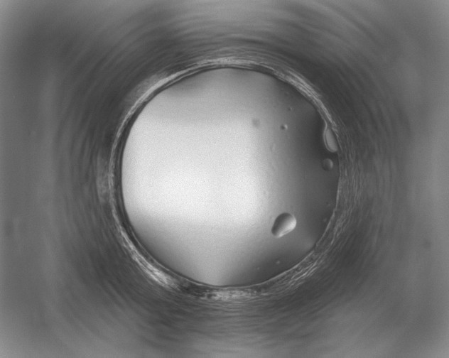 X0000052980803200508051039