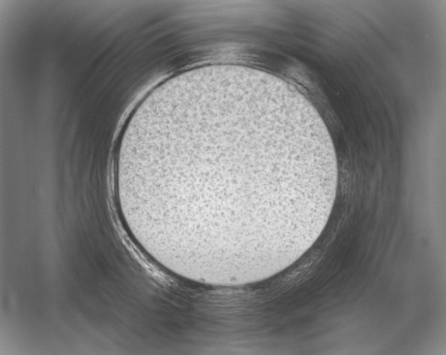 X0000052980804200508051039