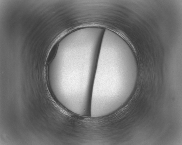 X0000052980805200508051039