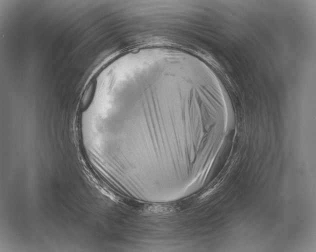 X0000052980806200508051039