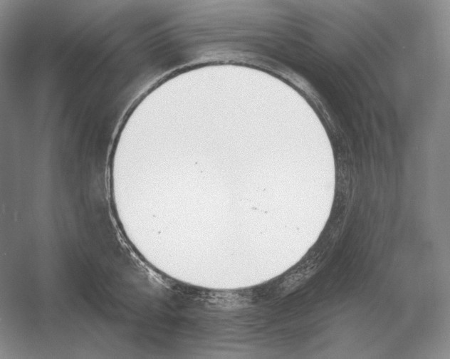 X0000052980807200508051039