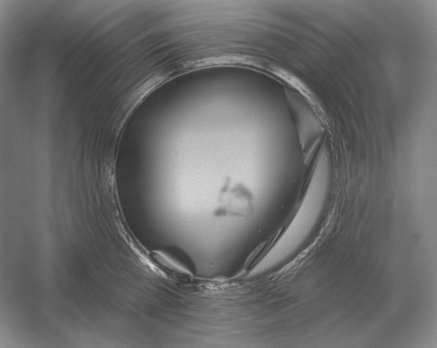 X0000052980809200508051039