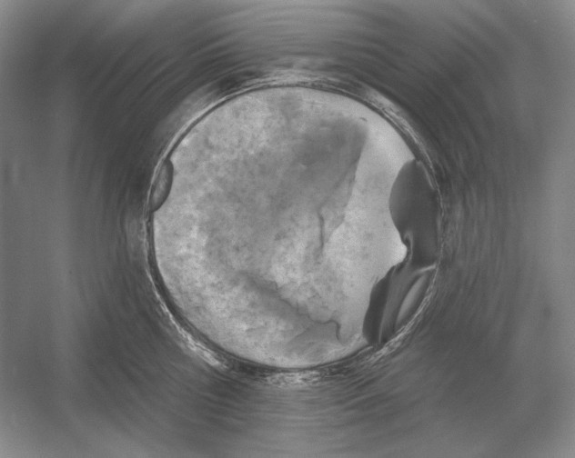 X0000052980810200508051039