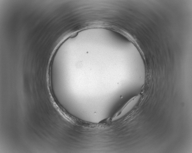 X0000052980811200508051039