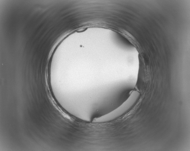 X0000052980812200508051039