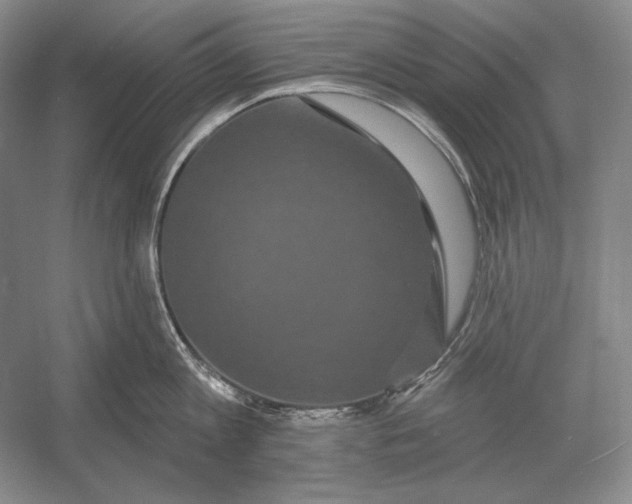 X0000052980813200508051039