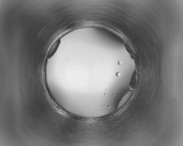 X0000052980814200508051039