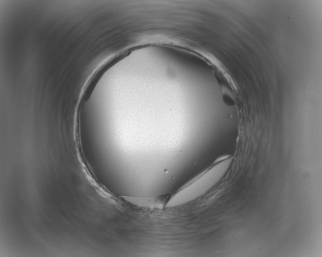 X0000052980815200508051039