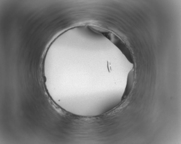 X0000052980816200508051039