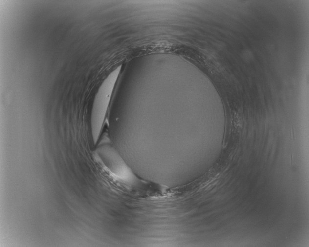 X0000052980818200508051038