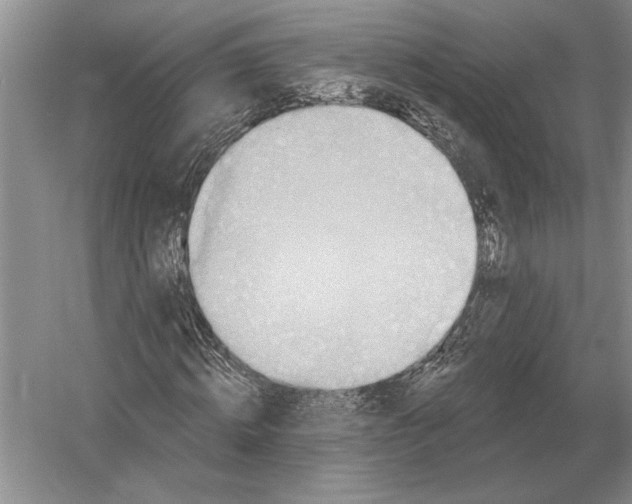 X0000052980820200508051038