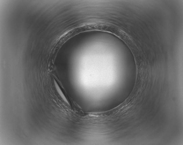 X0000052980822200508051038