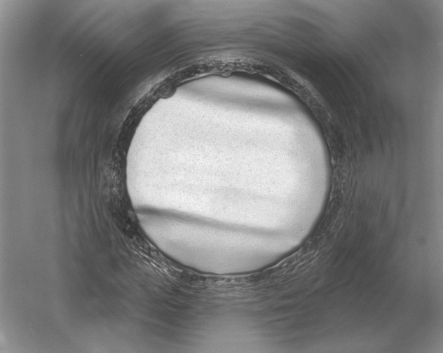 X0000052980823200508051038