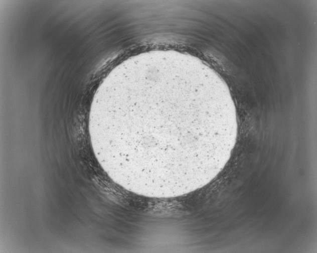 X0000052980824200508051038