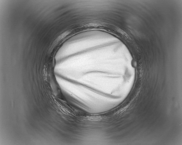 X0000052980825200508051038