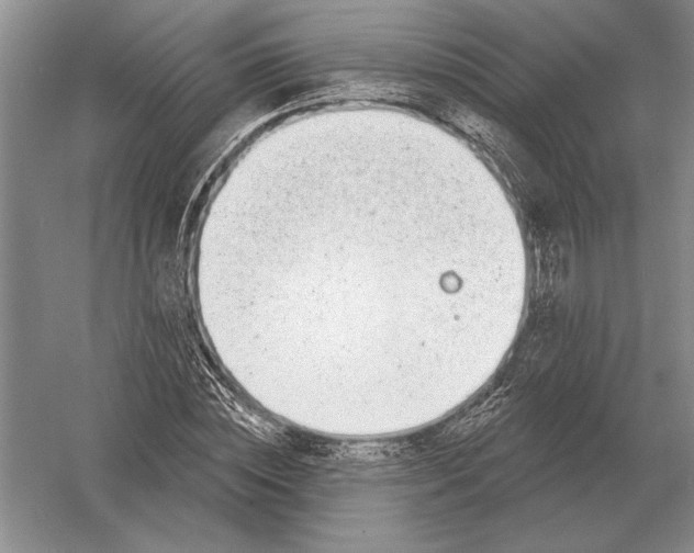 X0000052980828200508051038