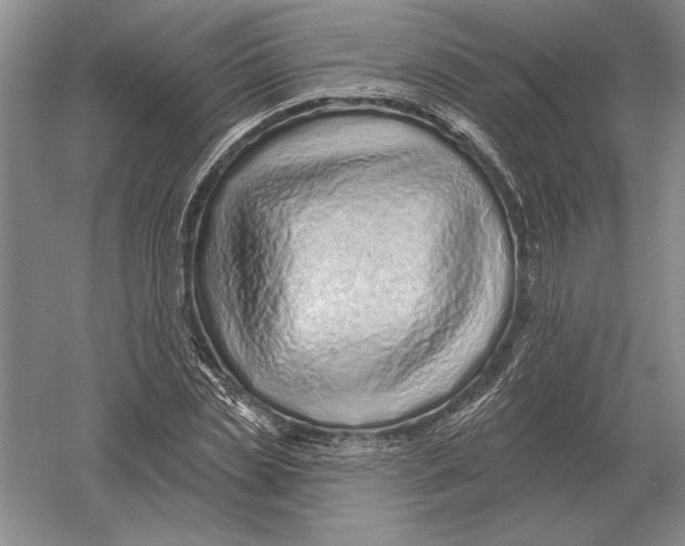 X0000052980829200508051038