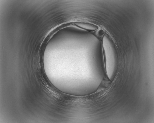 X0000052980830200508051038