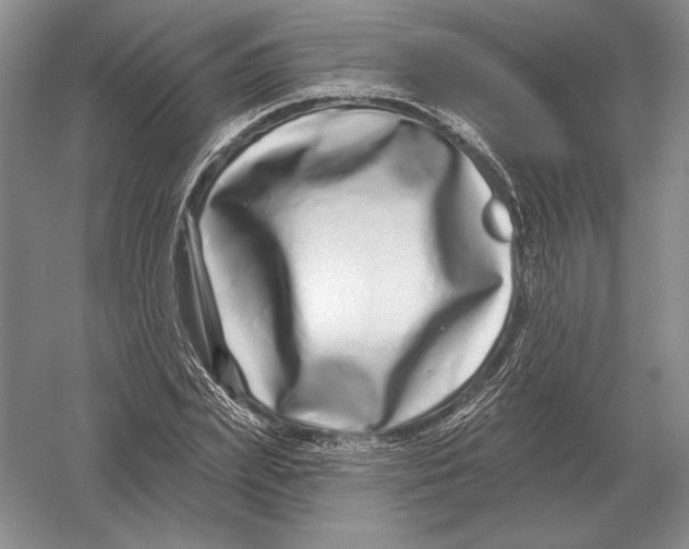 X0000052980831200508051038