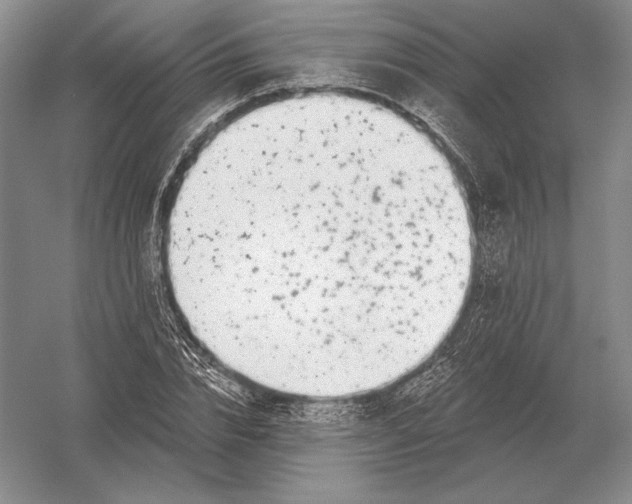 X0000052980832200508051038