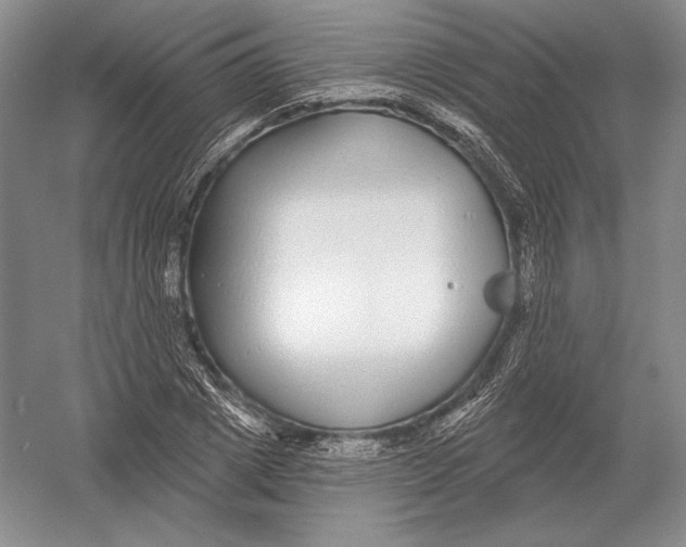 X0000052980833200508051039