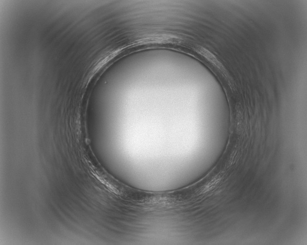 X0000052980834200508051039